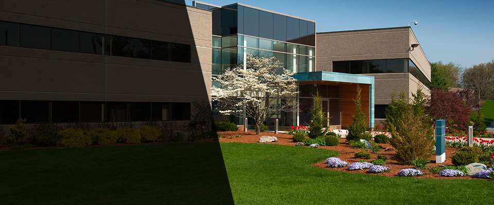 Saxonburg Landscapers