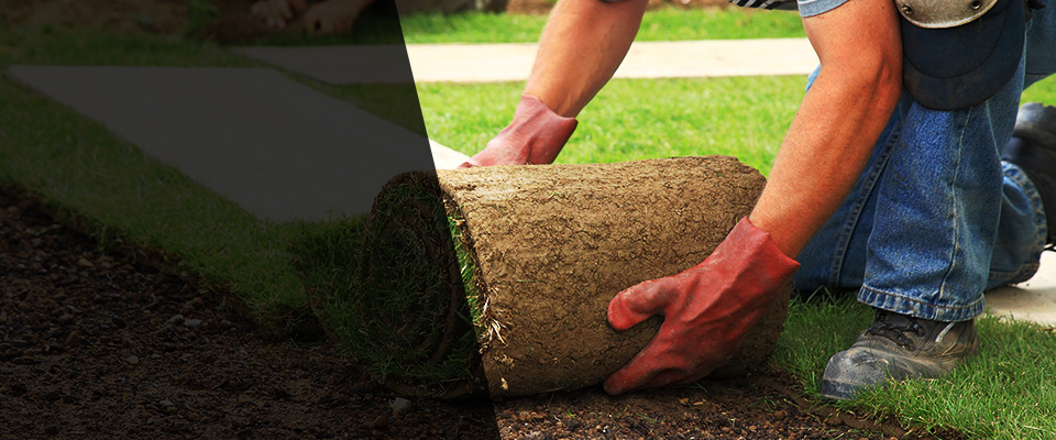 Saxonburg Landscapers